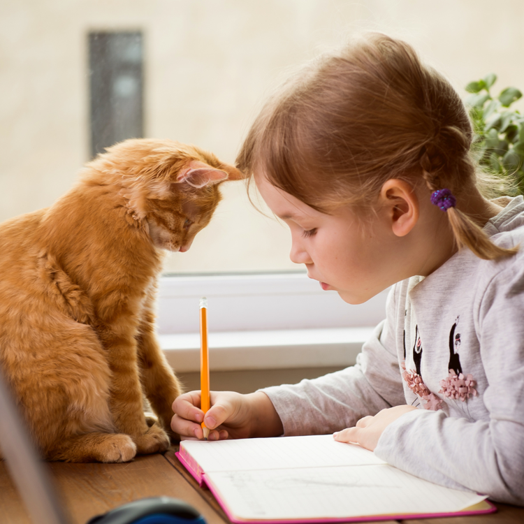 Tips to Help Your Pet Overcome Back-to-School Blues