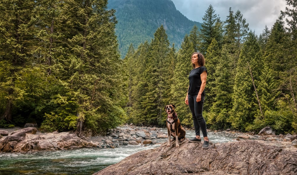 Faire de la Randonnée Avec des Chiens