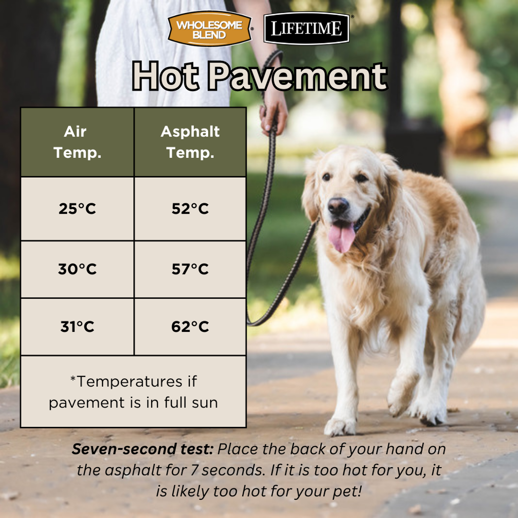 Hot Pavement, air temperature vs temperature of pavement