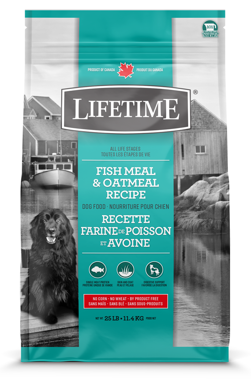 lifetime lamb and oatmeal dog food