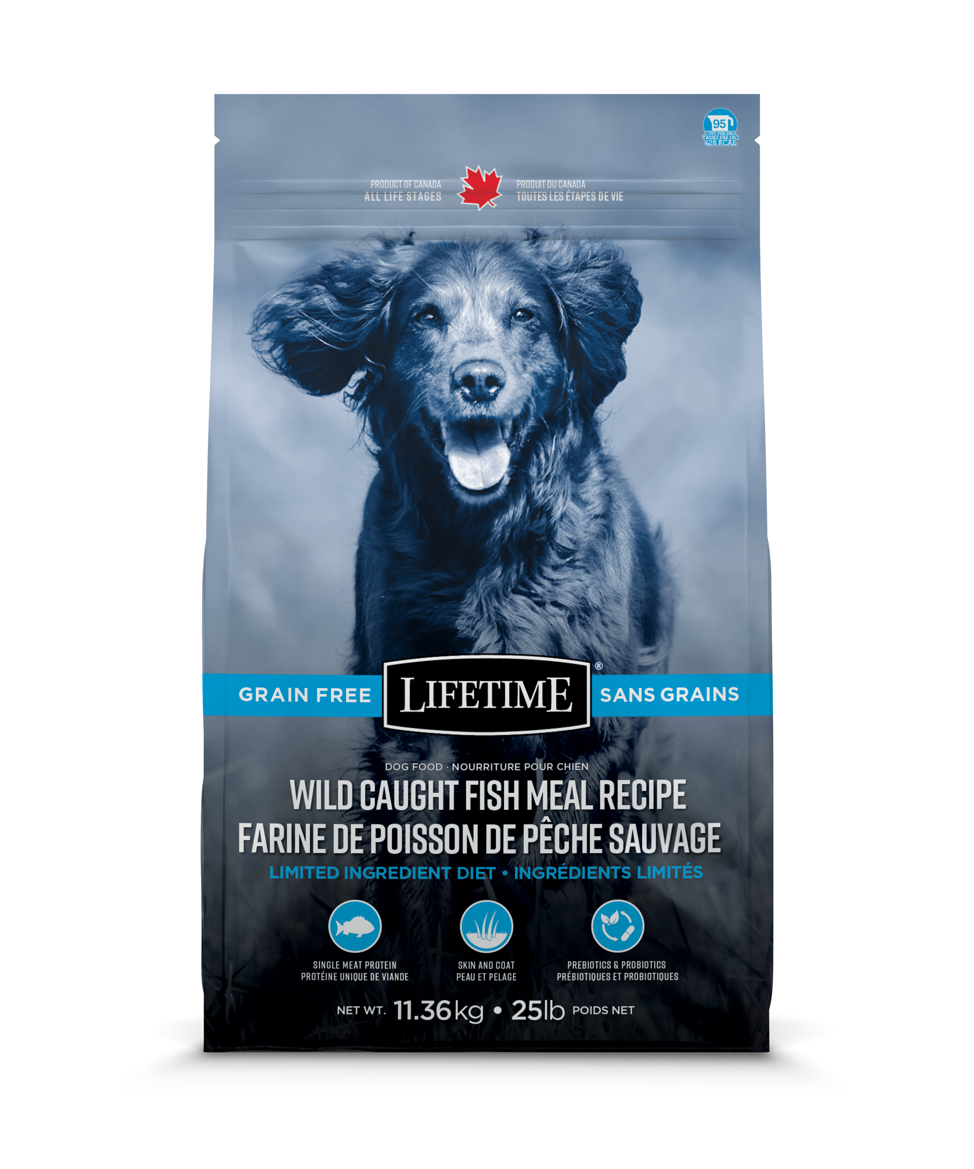 lifetime fish and oatmeal dog food