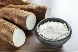 Cassava root flour outlet in dog food